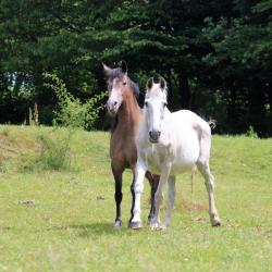 Lune_de_Mai_et sa_fille_Baya